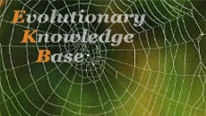 Evolutionary Knowledge Base